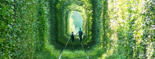 The Train to Sustainability: Next Stop, Your Hometown The Train to Sustainability: Next Stop, Your Hometown