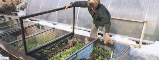 Extending the Vegetable Growing Season Extending the Vegetable Growing Season