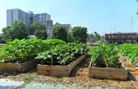 The Social and Nutrition Advantages of Urban Farming The Social and Nutrition Advantages of Urban Farming