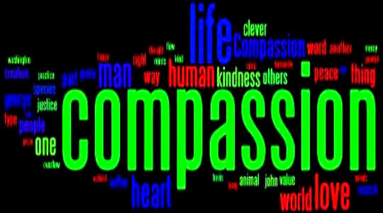 compassion compassion