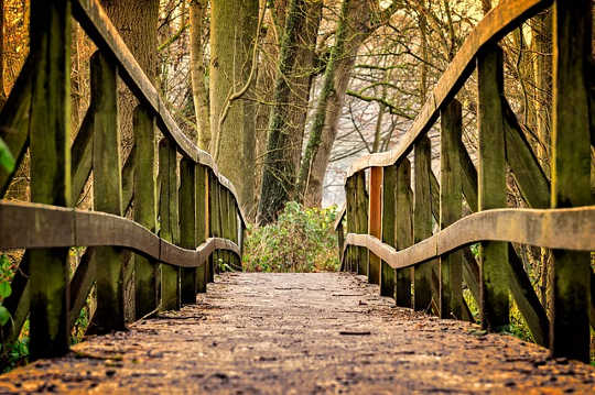 The Road Ahead: Choosing to Live With Dedicated Awareness The Road Ahead: Choosing to Live With Dedicated Awareness
