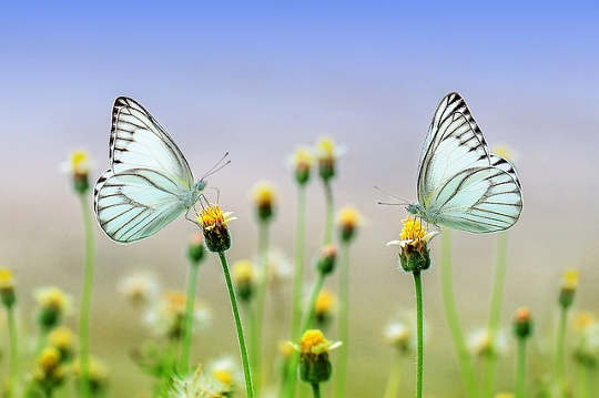 The Power of One: You Are Me and I Am You The Power of One: You Are Me and I Am You