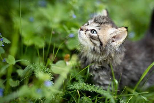 Praying Peace, Being Peace, Revealing Peace Where It Is Hidden Praying Peace, Being Peace, Revealing Peace Where It Is Hidden
