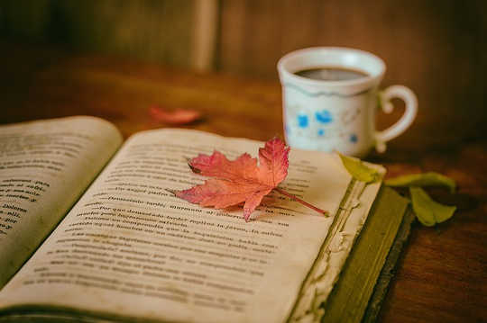 The Universality of A Good Story: The World According to Rumi The Universality of A Good Story: The World According to Rumi