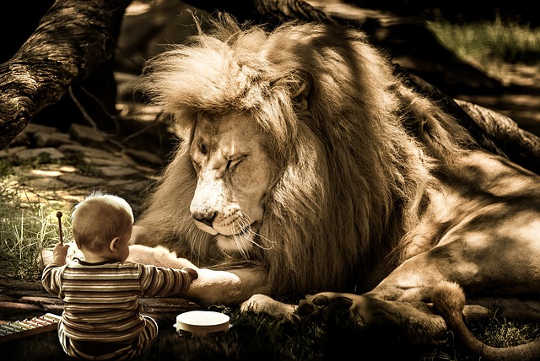Tap In To Your Inner Buddha and Find Unlimited Wisdom, Courage and Compassion Tap In To Your Inner Buddha and Find Unlimited Wisdom, Courage and Compassion