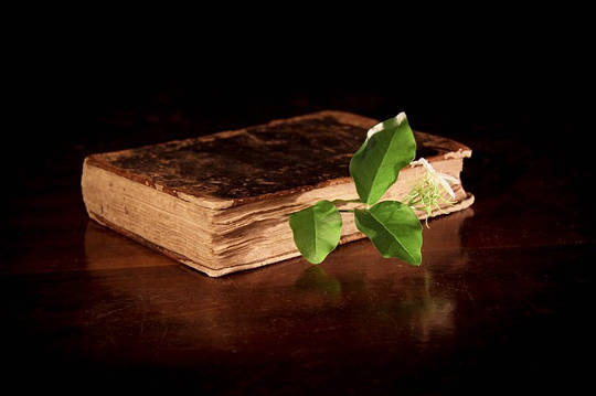 Alchemy and Shamanism — Tools of Transformation Alchemy and Shamanism — Tools of Transformation