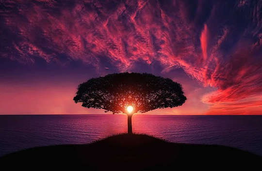 Be One with the Earth Be One with the Earth