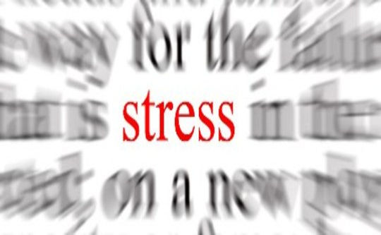 What To Do When Stress Strikes What To Do When Stress Strikes