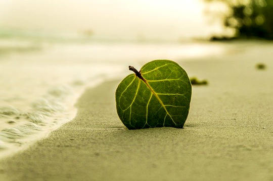 Clear Your Energy Field: Stay Grounded and Protected Clear Your Energy Field: Stay Grounded and Protected