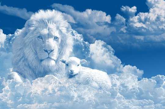 You Are Not A Sheep; You Are A Shepherd You Are Not A Sheep; You Are A Shepherd
