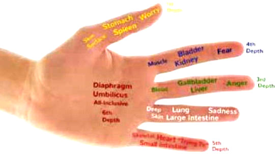 A powerful healing tool, the hand is a multidirectional conduit for the energy of Jin Shin. A powerful healing tool, the hand is a multidirectional conduit for the energy of Jin Shin. (simple self healing with the art of jin shin)