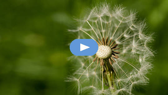 Acceptance&nbsp;and Change: Nature Changes Often