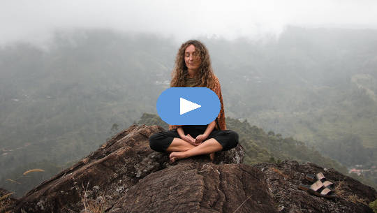 The Effects of Meditation: Moving from Pain to Joy The Effects of Meditation: Moving from Pain to Joy