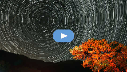 I Was Born during the late Eastern Han Dynasty... (Video) I Was Born during the late Eastern Han Dynasty... (Video)
