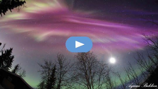 Horoscope Week: March 22 - 28, 2021 Horoscope Week: March 22 - 28, 2021