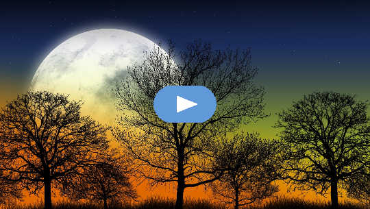 Horoscope Week: April 26 - May 2, 2021 (Video) Horoscope Week: April 26 - May 2, 2021 (Video)