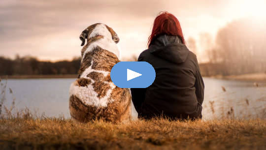 The First Rule for Meditation Success: Don't Be Ruled by What Others Do (Video) The First Rule for Meditation Success: Don't Be Ruled by What Others Do (Video)