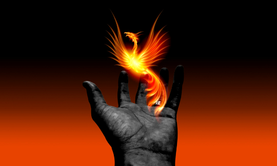 a phoenix rising out of an open hand