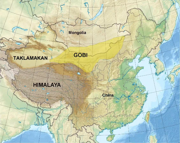 china deserts 12 12