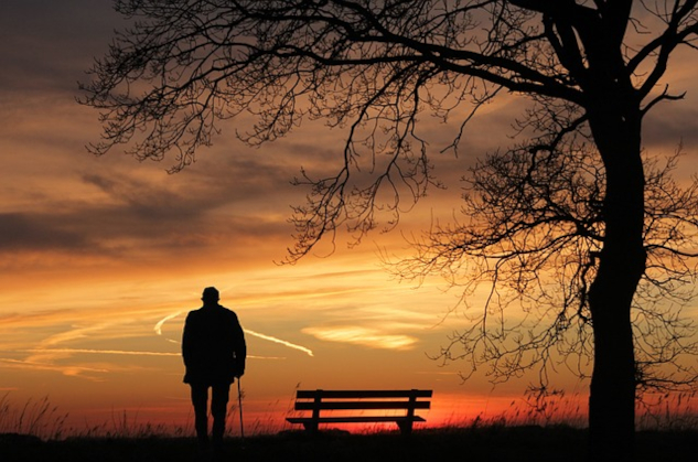A man standing outside at sunset under a tree.&nbsp;Image from Pixabay.
