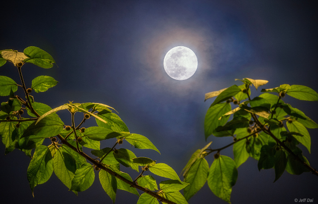 Full Moon of Spring Image Credit & Copyright: Jeff Dai (TWAN).&nbsp;Astrological Overview and Horoscope: April 27 to May 3, 2026, InnerSelf.com&nbsp;