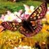 The New Year: The Seeds of Birth and Rebirth? The New Year: The Seeds of Birth and Rebirth?