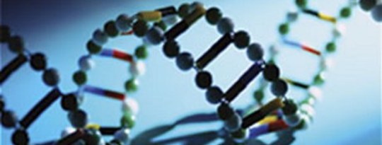 Consciousness: The Bridge between Science & Spirit Consciousness: The Bridge between Science & Spirit