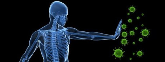 Got A Fever? Remedies to Stimulate the Body’s Immune System Got A Fever? Remedies to Stimulate the Body’s Immune System