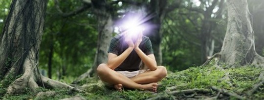 Madness as a Path to Hypersanity: Saving Us From Ecological Disaster